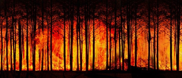 forest fires, wildfires